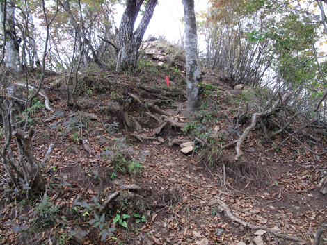 20171012hike (196)
